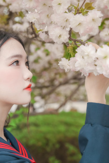 鲁鲁修之轮回